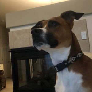 Meet your Posher, Kelley